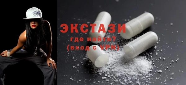 ECSTASY Гусь-Хрустальный