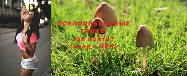 мяу мяу мука Болотное