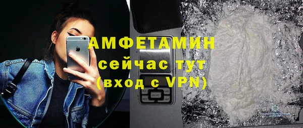 индика Бикин