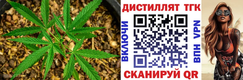 наркотики площадка клад Дистиллят ТГК гашишное масло Абаза мега tor