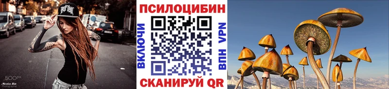Псилоцибиновые грибы Psilocybe  kraken ТОР  Абаза  что такое наркотик 